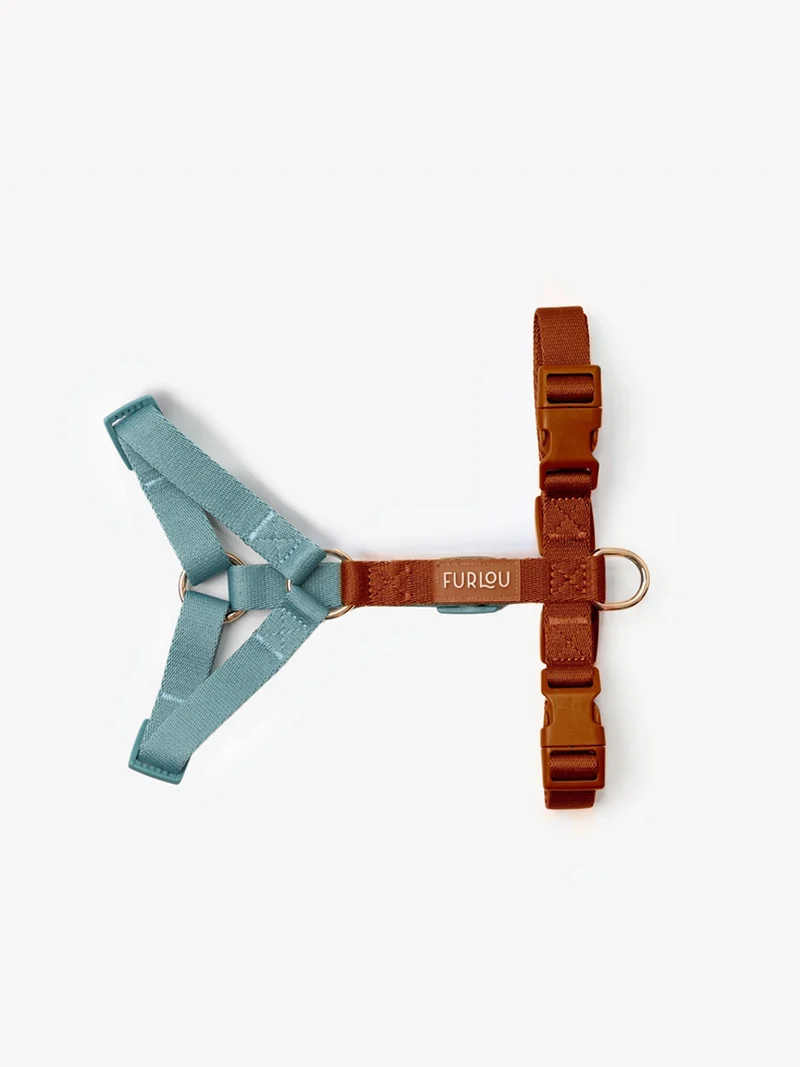 Harnais en H pour chien - Bleu et Argile - Furlou