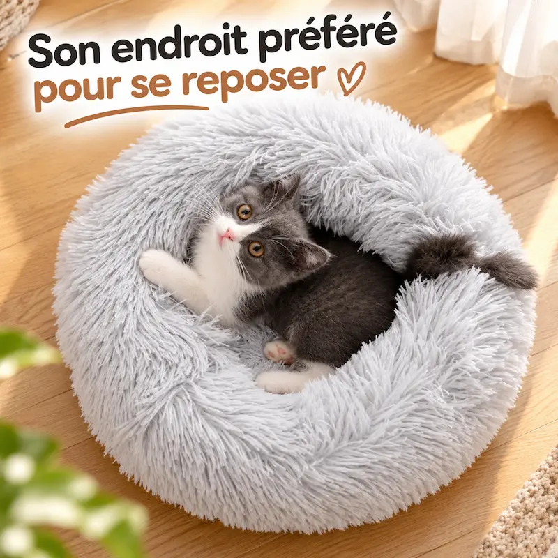 Coussin apaisant chat - Confort et sécurité | CalmPaws