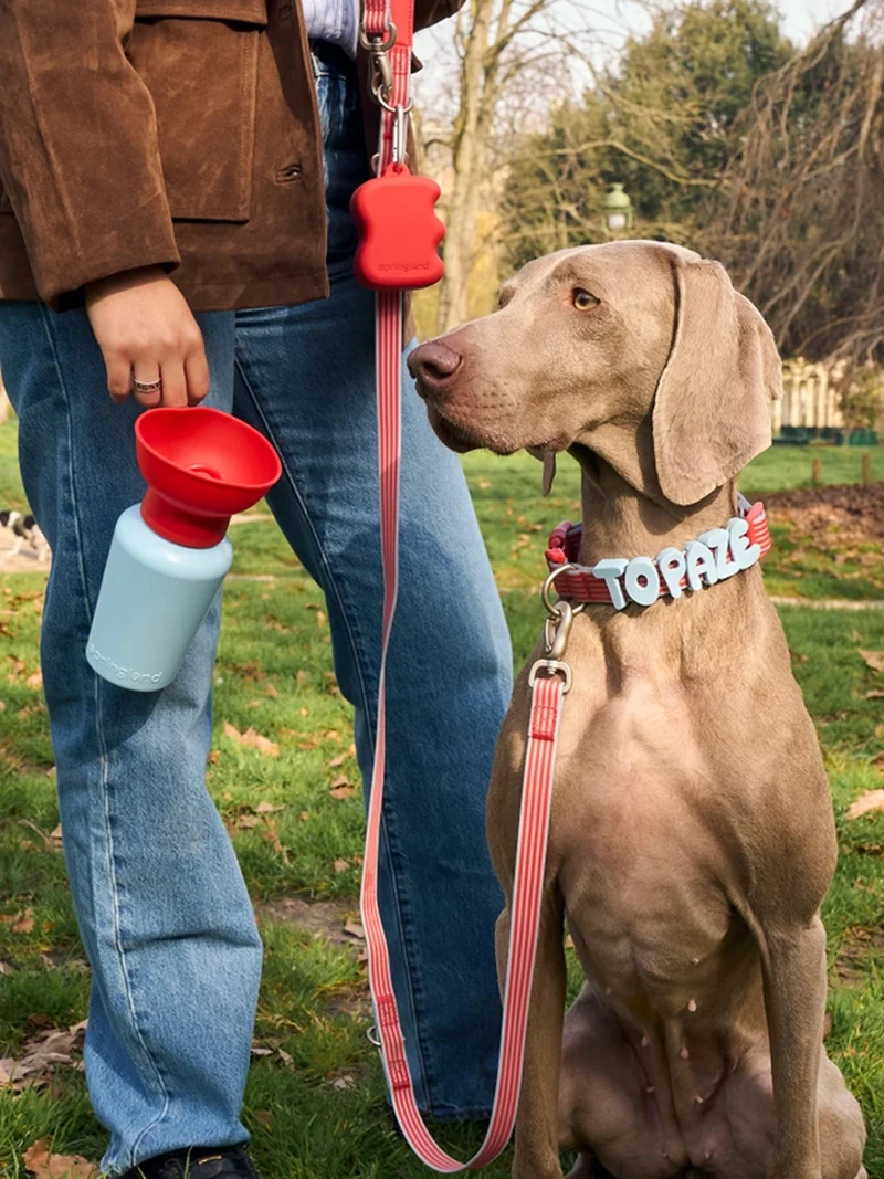 Gourde Springer Flip Dog - Ed. Limitée Cherry Sky - Springer