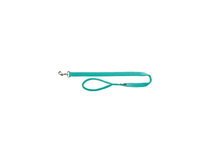 Laisse pour chien - Premium nylon