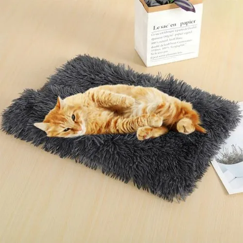 couverture pour chat | DOU'DODO