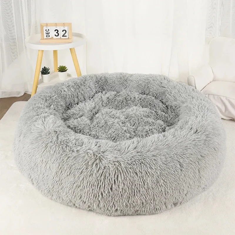 coussin chat | DODOCOSY