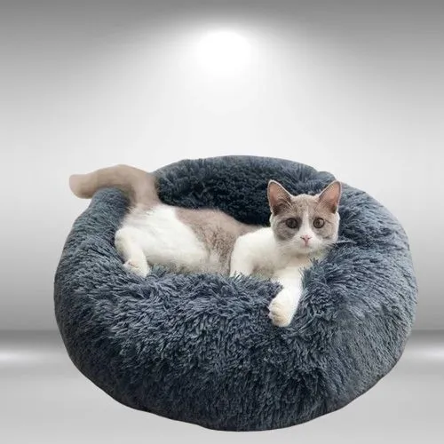 coussin chat | DODOCOSY