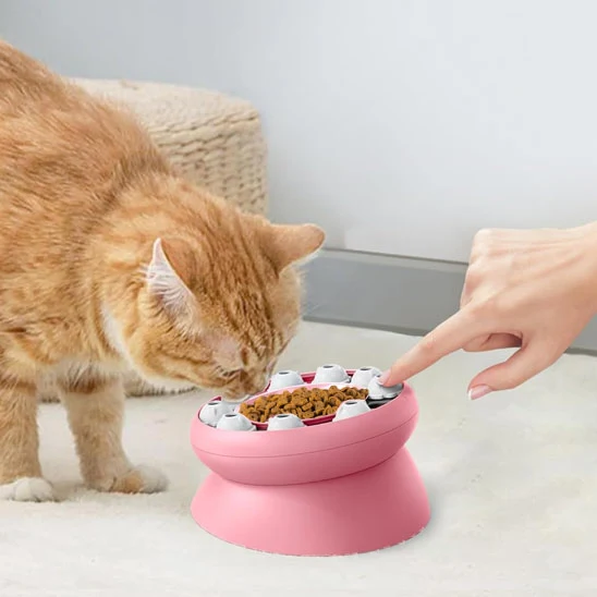 gamelle interactive chat | PUZZLEBOWL