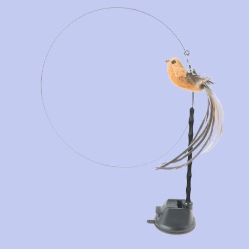 jouet interactif chat | JOUBIRD