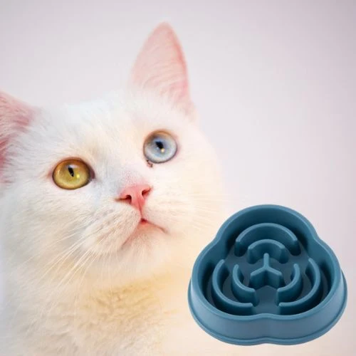 gamelle anti glouton chat |SLOWBOWL