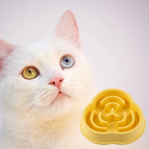 gamelle anti glouton chat |SLOWBOWL