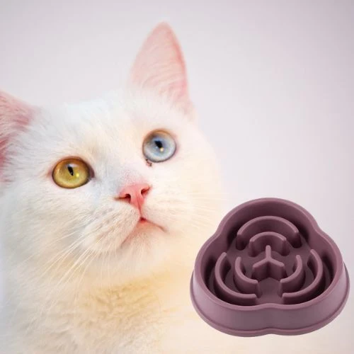 gamelle anti glouton chat |SLOWBOWL