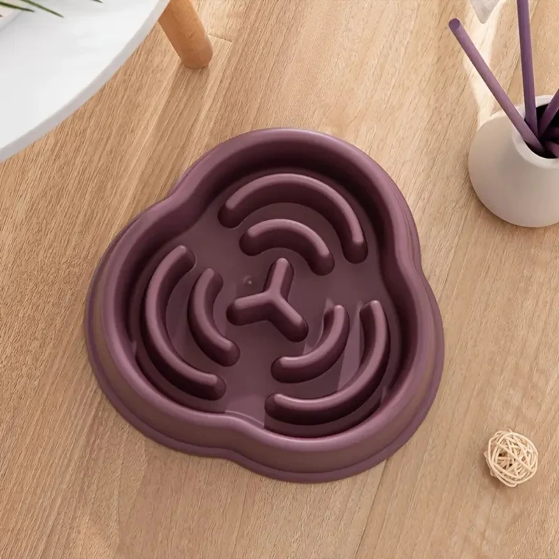 gamelle anti glouton chat |SLOWBOWL