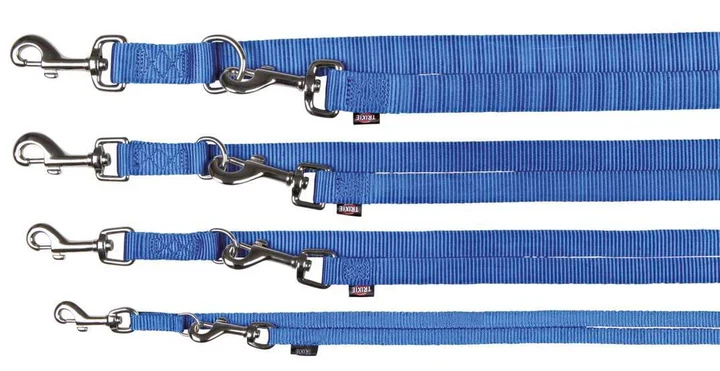 Laisse premium reglable pour chien