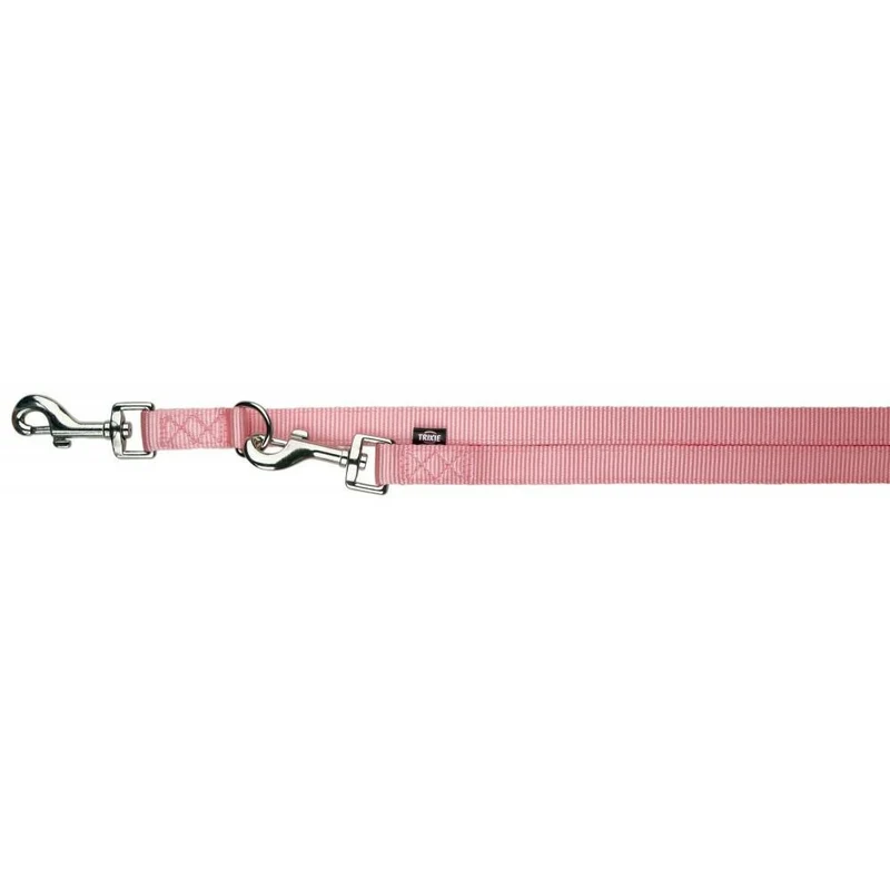 Laisse premium reglable pour chien