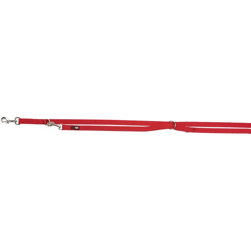 Laisse premium reglable pour chien