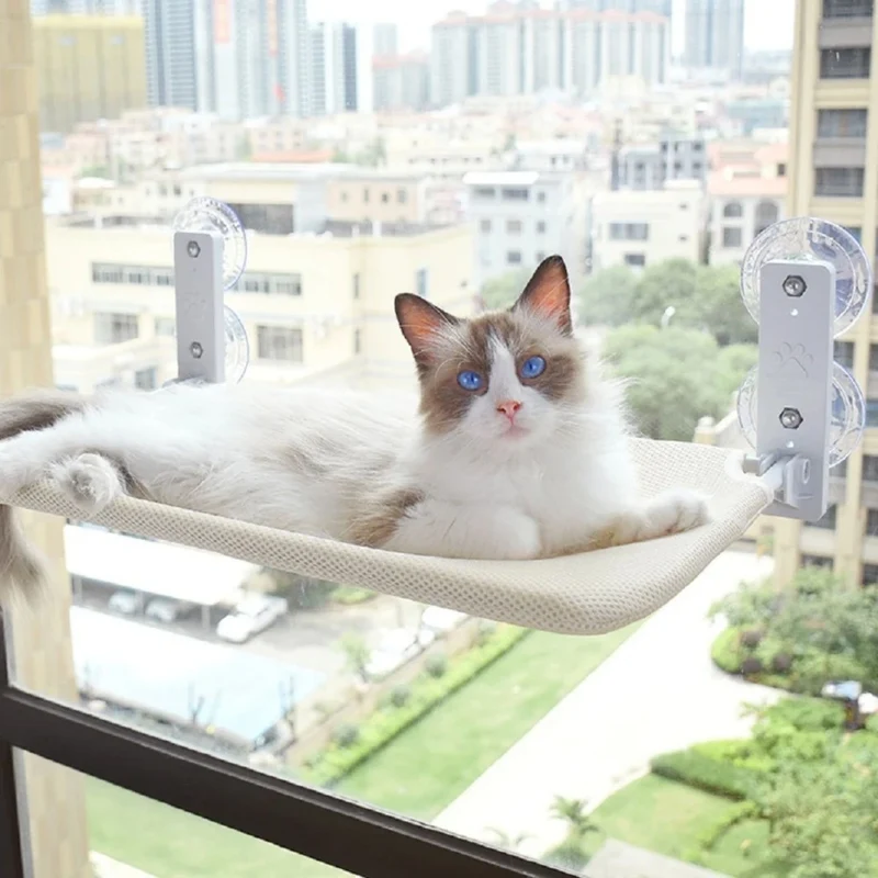 hamac chat |HAMAC SUCKER CAT