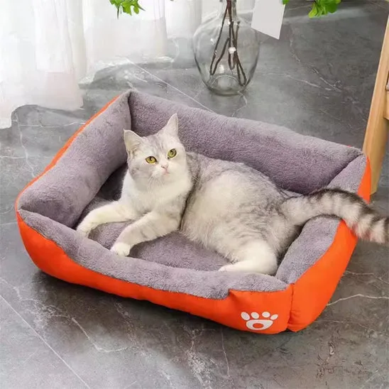 panier pour chat | DODOCOLOR