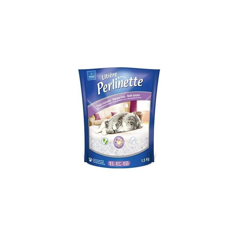 Perlinette chat mature