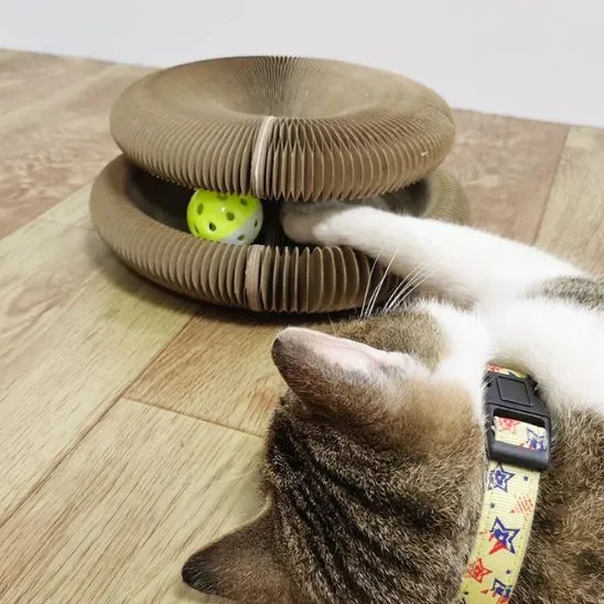 jouet pour chat | JOUGRIFF