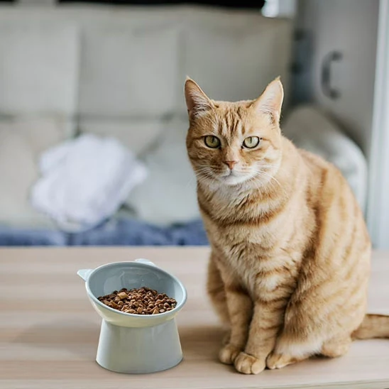 gamelle chat surélevée | Chadine