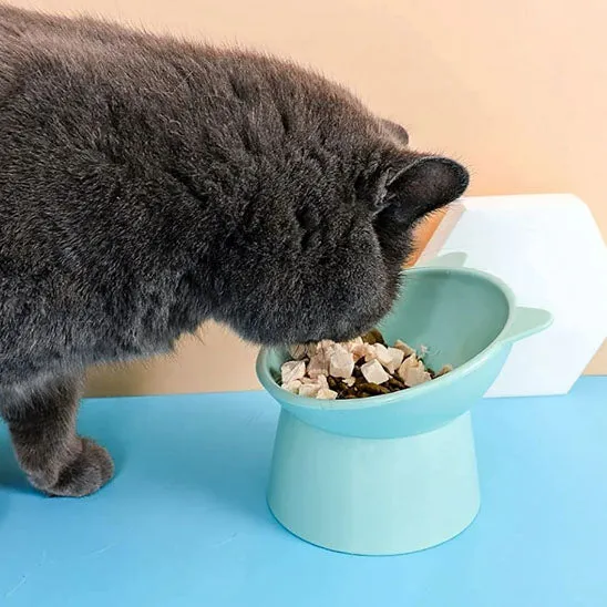 gamelle chat surélevée | Chadine