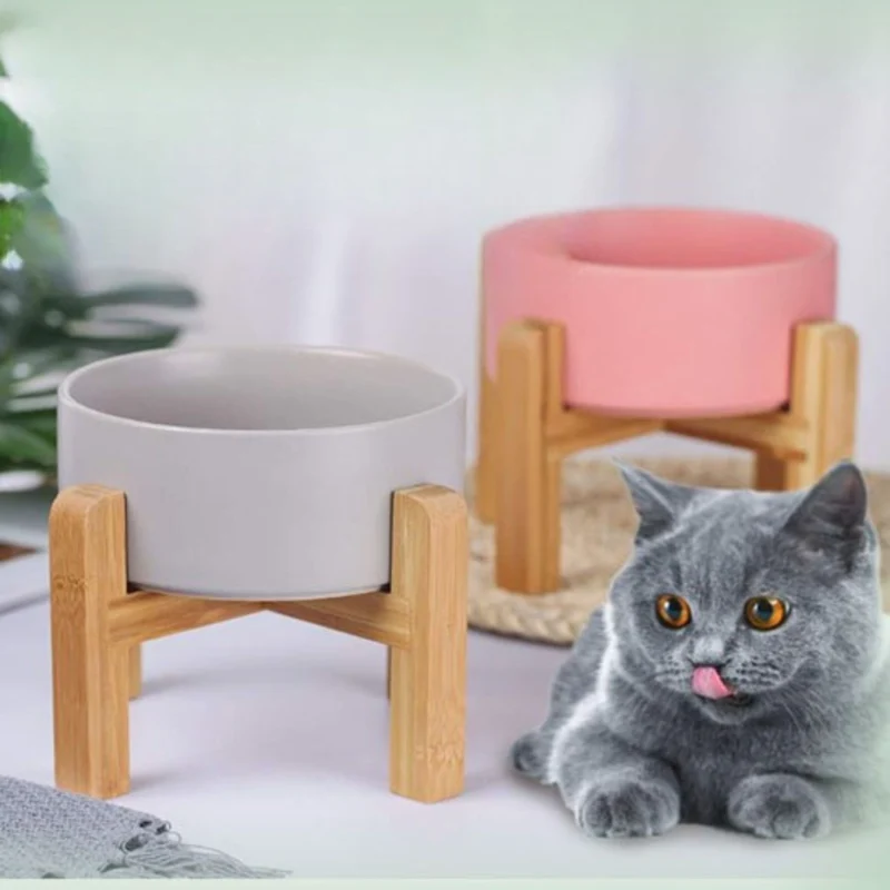 gamelle chat surélevée| chasavour
