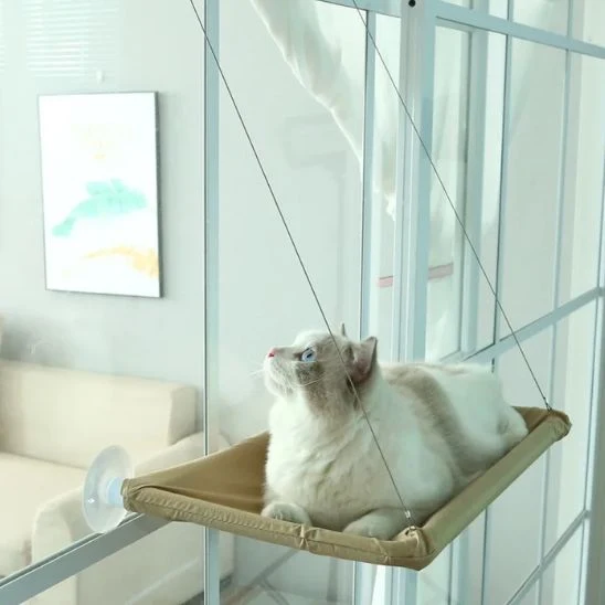 hamac pour chat | HAMAC WINDOW