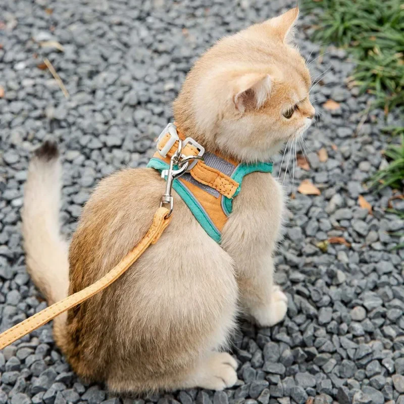 Harnais pour chat | Doux Triple Protection VelvetCat