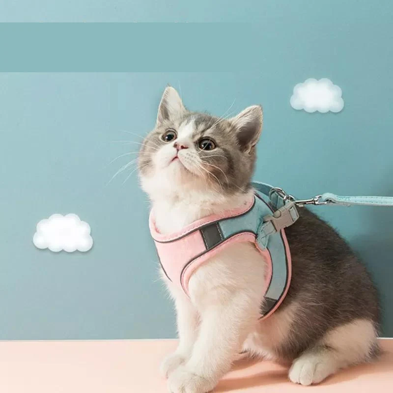 Harnais pour chat | Doux Triple Protection VelvetCat