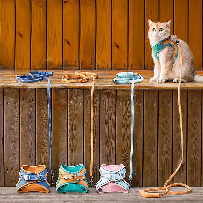 Harnais pour chat | Doux Triple Protection VelvetCat