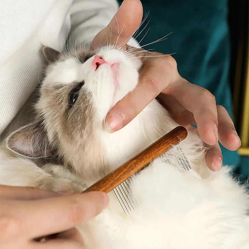 Peigne chat - Kit de 3 Pièces