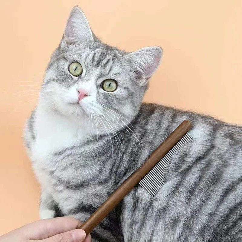 Peigne chat - Kit de 3 Pièces