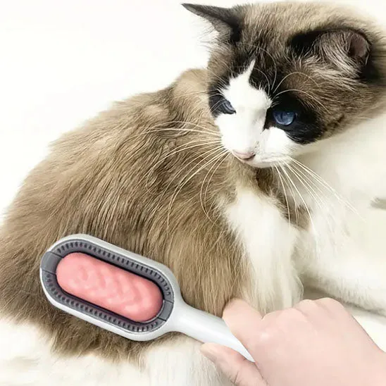 Brosse pour chat - Avec réservoir d'eau
