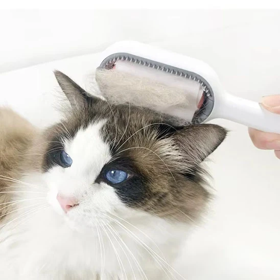 Brosse pour chat - Avec réservoir d'eau