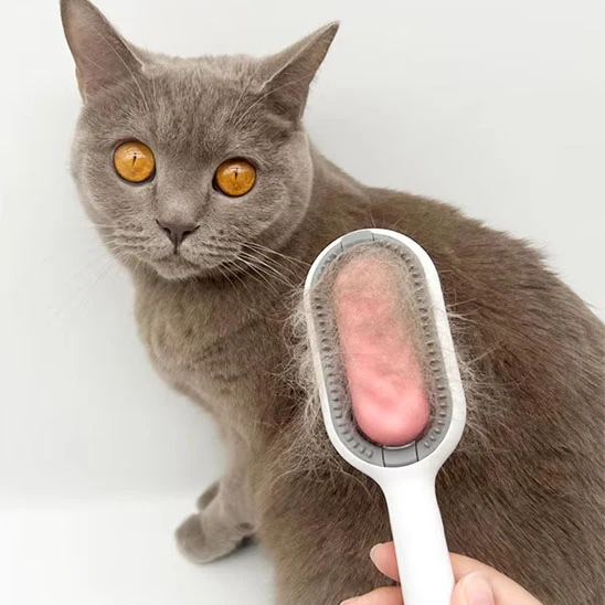 Brosse pour chat - Avec réservoir d'eau