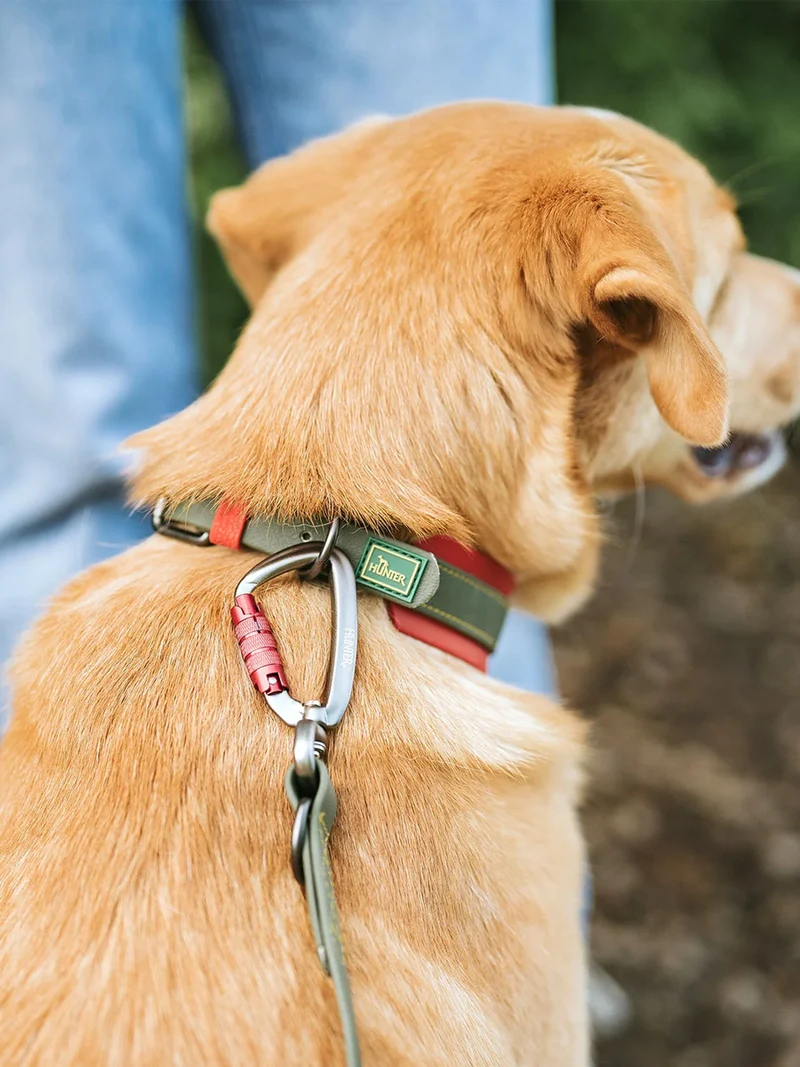 Laisse pour chien 3 positions en Biothane - Havana army - Hunter