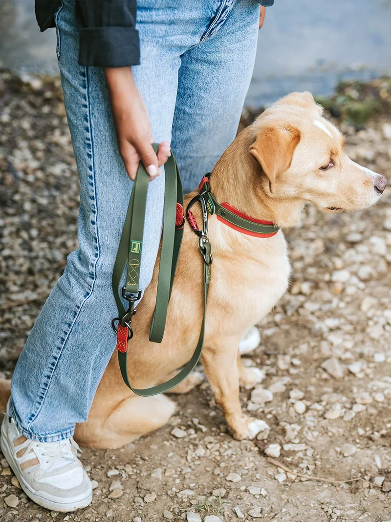 Laisse pour chien 3 positions en Biothane - Havana army - Hunter