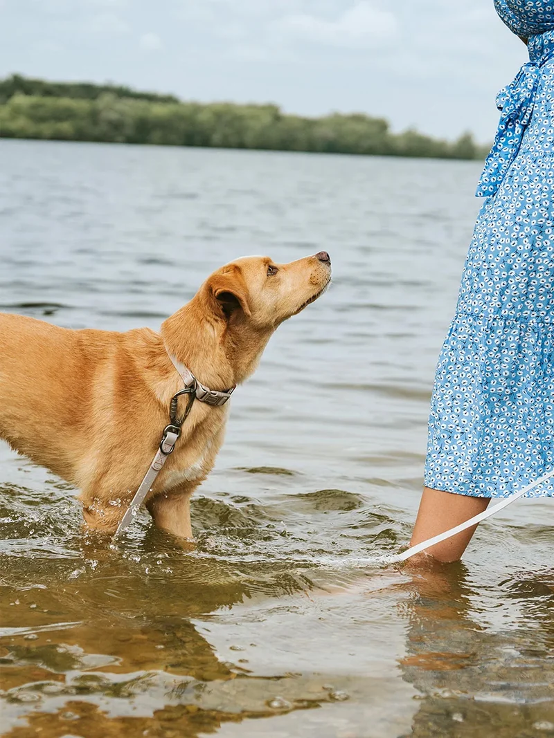 Laisse pour chien 3 positions en Biothane - Havana grège - Hunter