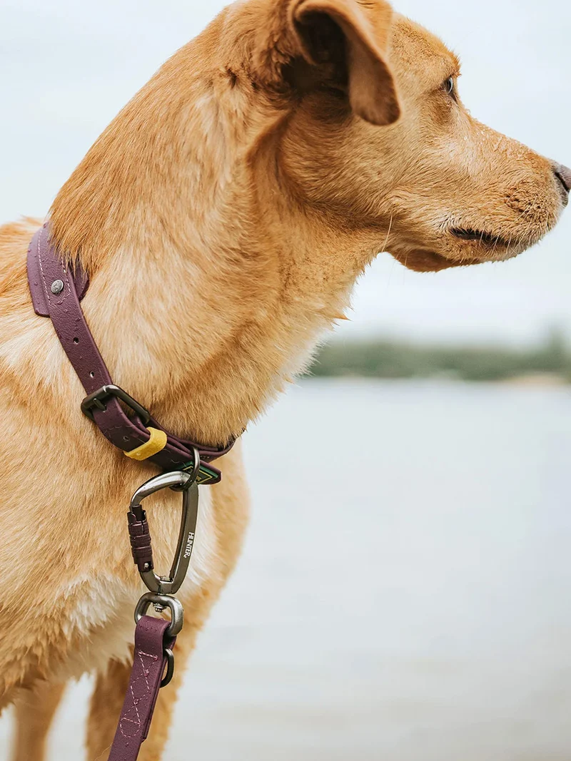 Laisse pour chien 3 positions en Biothane - Havana mûre - Hunter