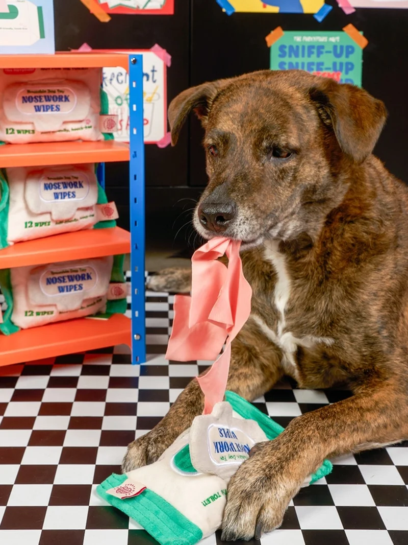 Jouet de fouille pour chien - Doggo Wipes 🐶 - The FurryFolks