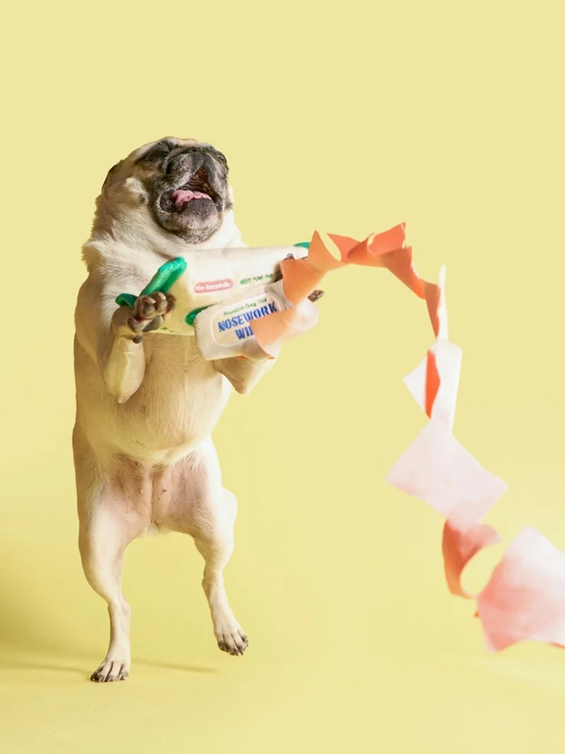 Jouet de fouille pour chien - Doggo Wipes 🐶 - The FurryFolks