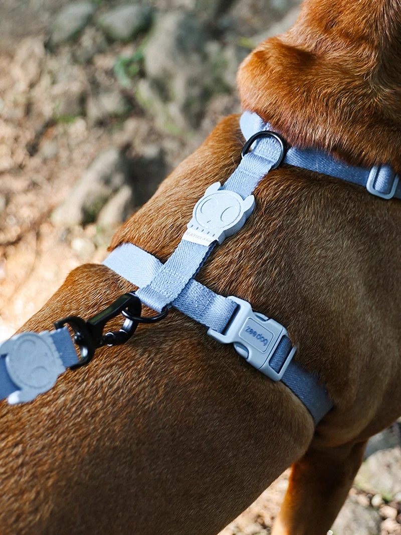 Harnais pour chien - Naturals Marine - Zee.Dog