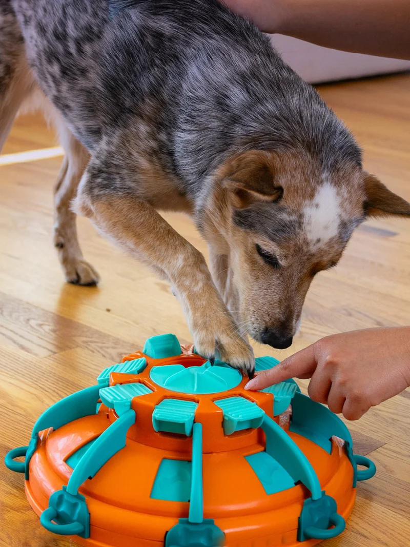 Jouet interactif pour chien - Tower Of Treats (Niv 4) - Nina Ottosson