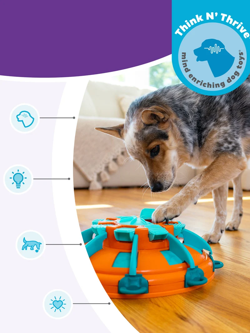 Jouet interactif pour chien - Tower Of Treats (Niv 4) - Nina Ottosson