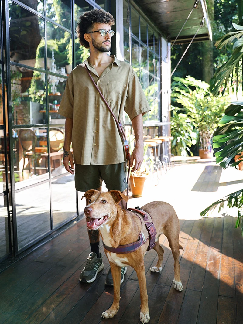 Laisse pour chien réglable et mains libres - Naturals Cacao - Zee.Dog