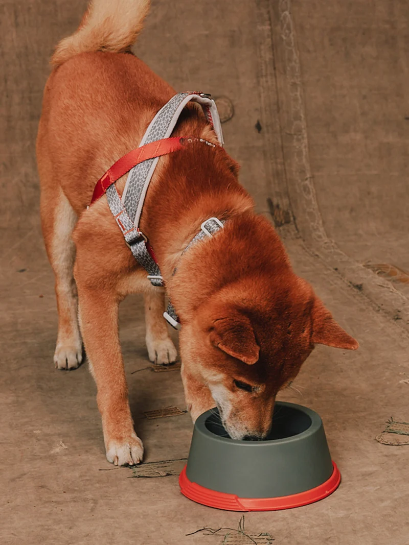 Gamelle en mélamine pour chien et chat - Suede - Reebok x Zee.dog