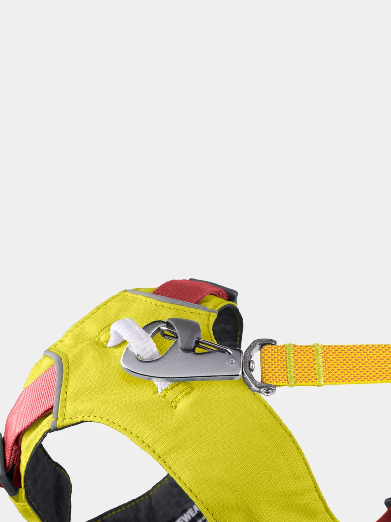 Harnais avec poignée Ruffwear - Flagline - Lichen Green