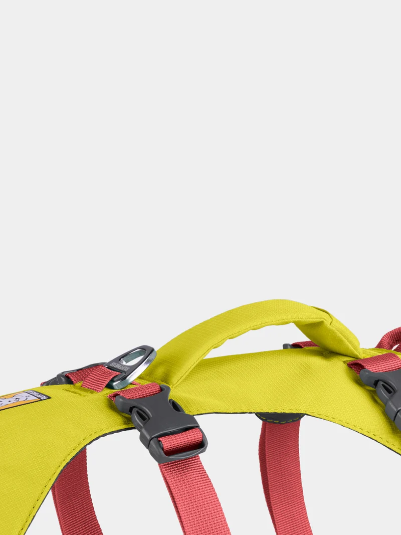 Harnais avec poignée Ruffwear - Flagline - Lichen Green