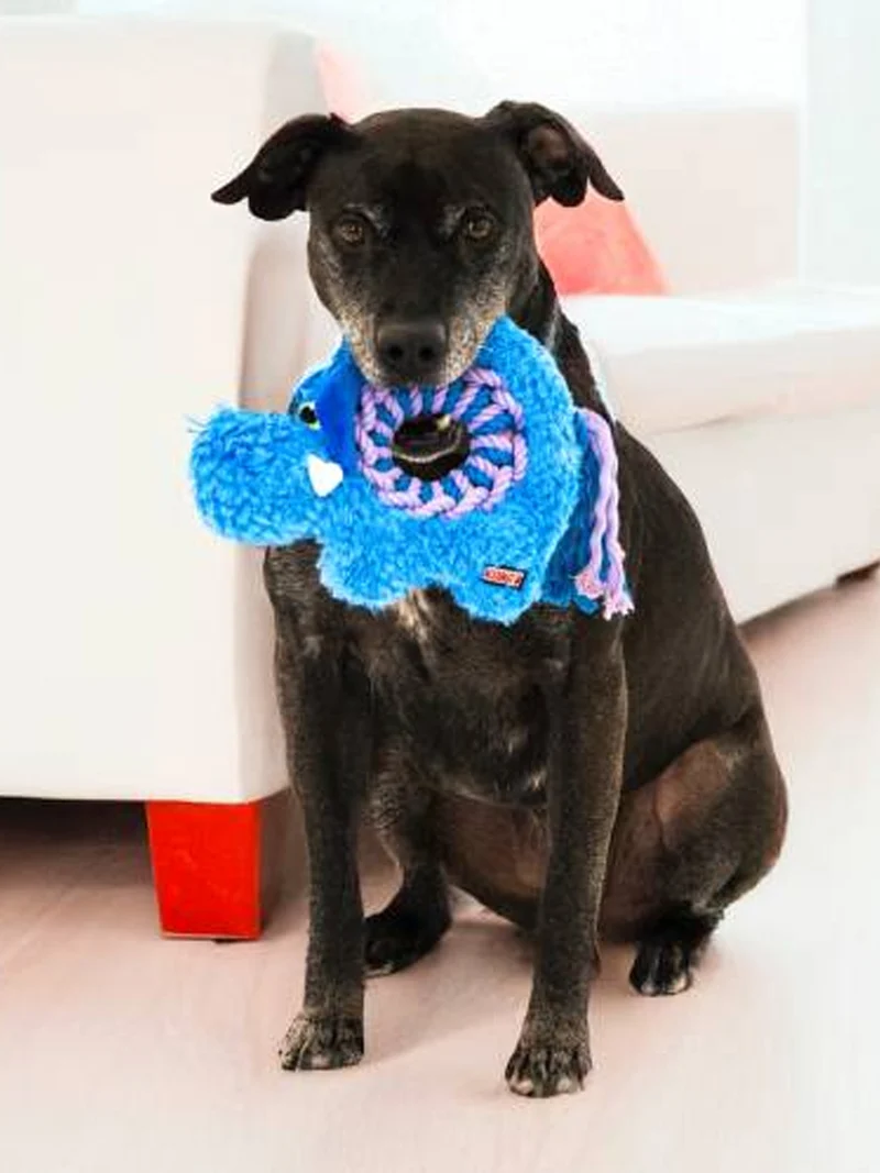 Peluche pour chien KONG - Kong Ringaroos - Eléphant 🐘