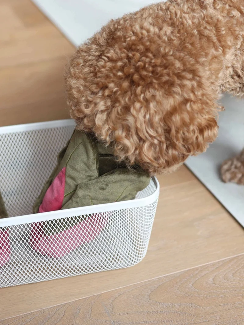 Jouet d'occupation pour chien - Blettes 🥬 - Pups & Bubs