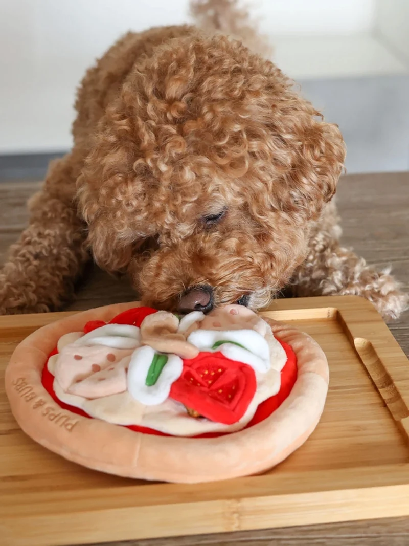 Jouet d'occupation pour chien - Pizza 🍕 - Pups & Bubs