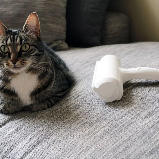 brosse pour chat | MAGICBRUSH