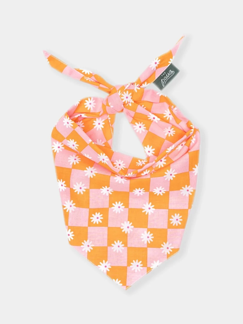 Bandana pour chien - Hula - The Paws